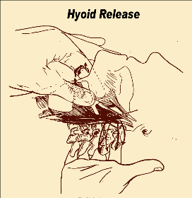 hyoid release